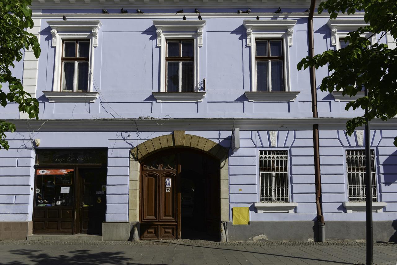 Old House Apartment Cluj-Napoca Ngoại thất bức ảnh